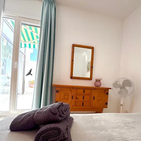 Aloe Vera Costa Teguise