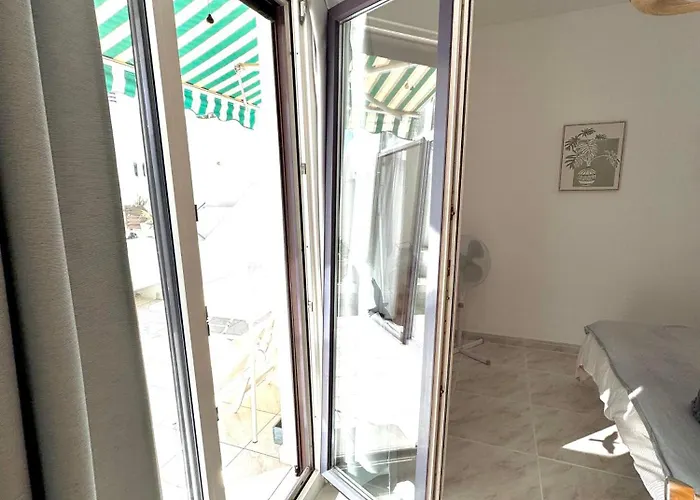 Aloe Vera Costa Teguise