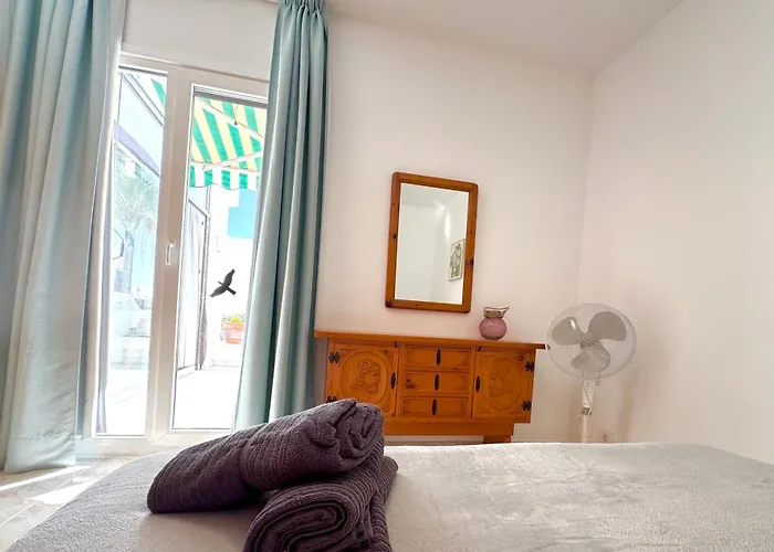 Aloe Vera Costa Teguise